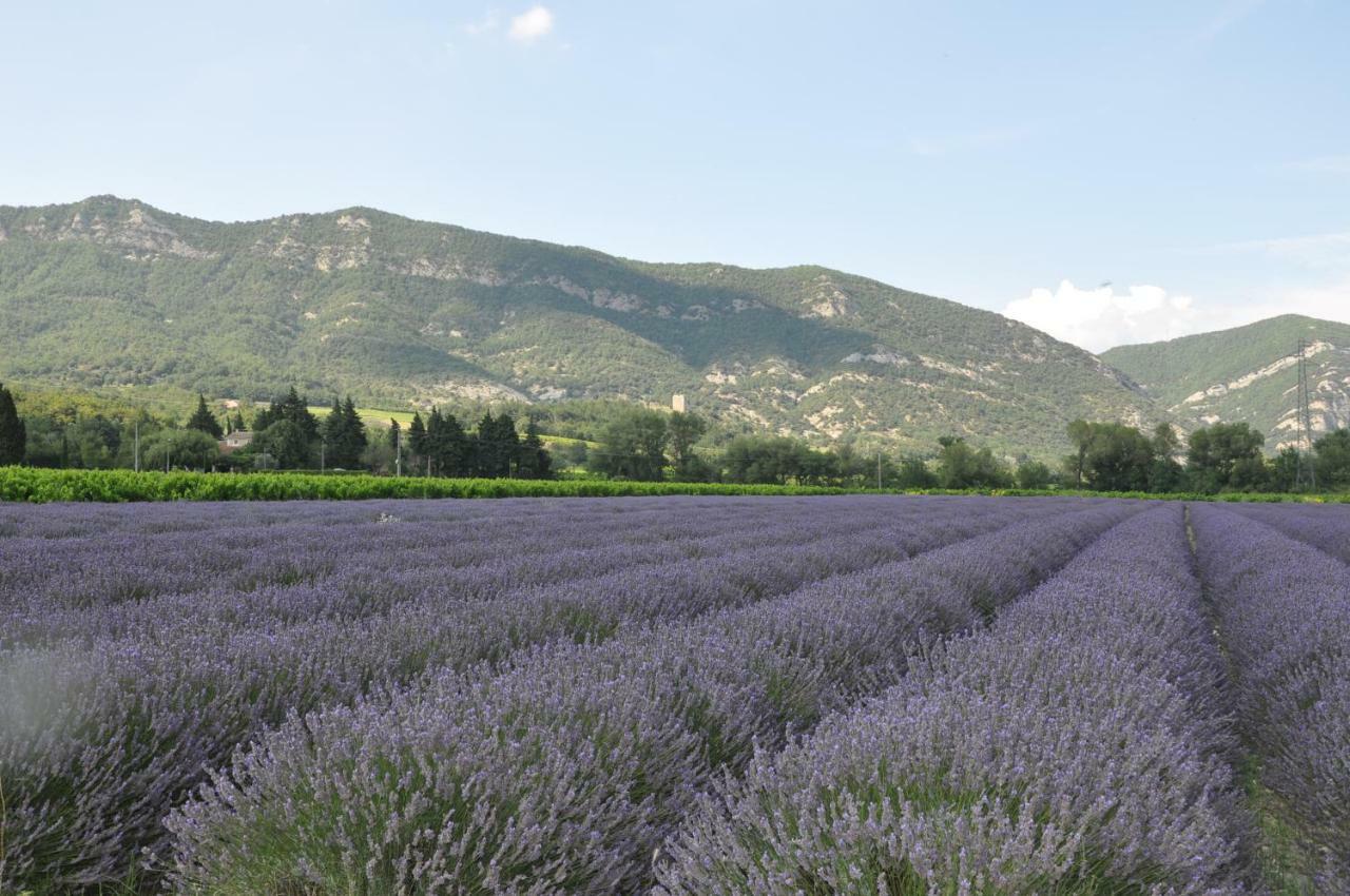 Gites Du Chateau D'Alencon Le Pegue Eksteriør billede
