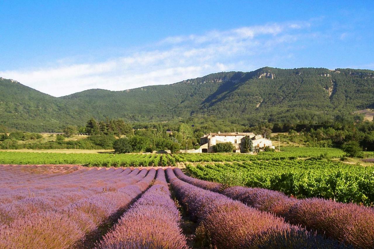 Gites Du Chateau D'Alencon Le Pegue Eksteriør billede