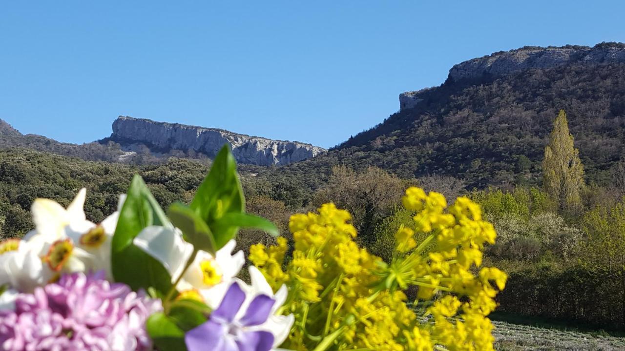 Gites Du Chateau D'Alencon Le Pegue Eksteriør billede